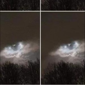 Meet your Posher, Sydney